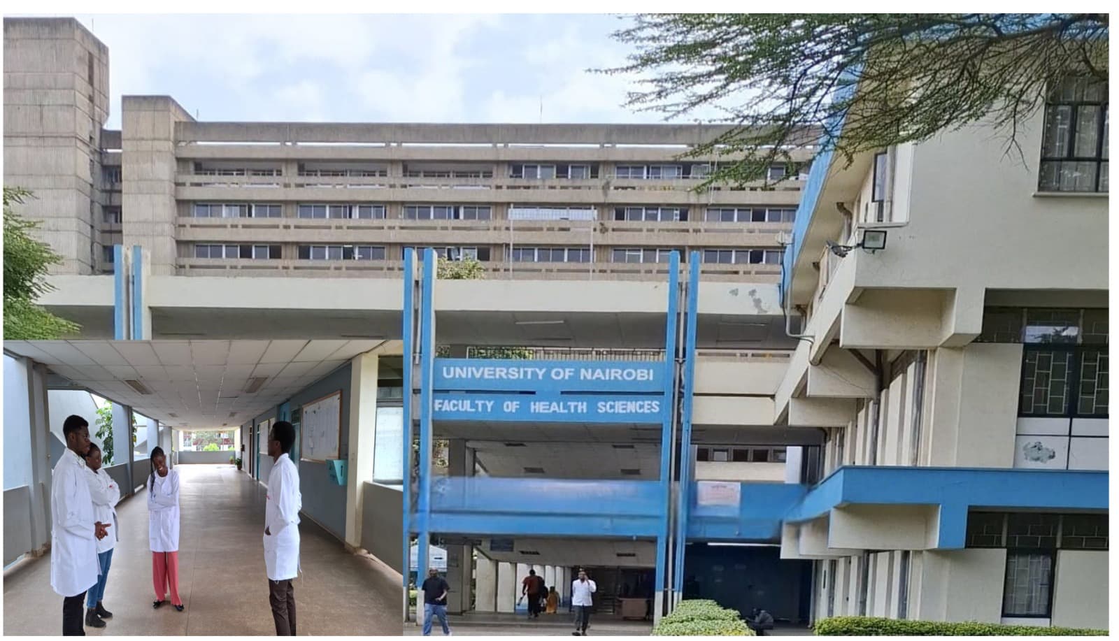 Clinical Orientation